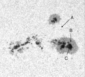 The figure shown below, taken at visible wavelengths, shows a section of the Sun with sunspots visible.Which of the labeled regions is the lowest temperature?   A)  region A B)  region B C)  region C D)  They are all the same temperature. E)  We would also need an X-ray image to determine relative temperatures.
