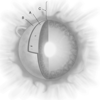 The figure below shows a diagram of the Sun with zones labeled A, B, and C.Name each layer, and describe the unique properties of each.  