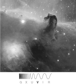 The red emission (bright region at the top)  in the figure shown below is due to   A)  carbon monoxide (CO) . B)  warm, neutral hydrogen. C)  molecular hydrogen (H<sub>2</sub>) . D)  ionized hydrogen (H II region) . E)  dust.