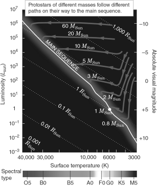 Use the figure shown below to complete the following statement: A high-mass protostar remains roughly constant in ________ and increases in ________ as it follows its evolutionary track.   A)  temperature; luminosity B)  radius; temperature C)  luminosity; radius D)  luminosity; temperature E)  radius; luminosity