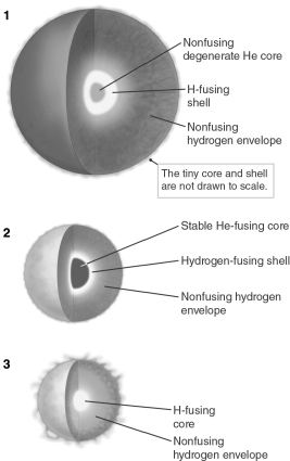 Place the evolutionary stages shown in the figure below in order from earliest to latest.   A)  1, 2, 3 B)  2, 3, 1 C)  3, 2, 1 D)  3, 1, 2 E)  2, 1, 3