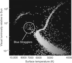 In the figure shown below, the H-R diagram for the very old cluster M55 shows the presence of an intriguing type of object, namely main-sequence stars bluer and more luminous than the turnoff stars.These stars have been called  blue stragglers,  and an attractive explanation might be that they are   A)  newly formed stars within in the very gas-rich globular cluster environment. B)  high-mass stars, recently formed by mergers of old, lower-mass stars in the densely packed cluster. C)  very luminous Type Ia supernovae at their peak luminosity. D)  exotic stars that produce energy by mechanisms other than nuclear fusion. E)  stars that do not belong to M55.