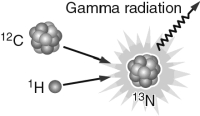 The first step in the CNO cycle diagram below shows the fusion of one proton and one nucleus of <sup>12</sup>C.What are the frequency and wavelength of a photon emitted in the process? Note that the mass of a <sup>12</sup>C atom is 12.0000 amu (atomic mass units; 1 amu = 1.66 x10<sup>27</sup> kg), <sup>1</sup>H is 1.0073 amu, and <sup>13</sup>N = 13.0057 amu.  