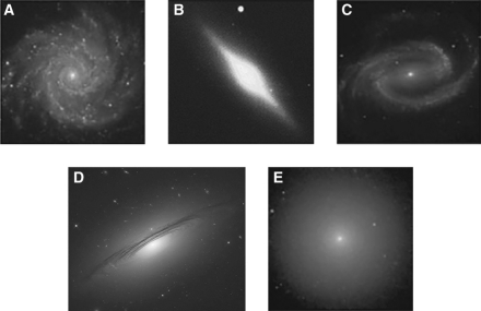 Which of the following images shows an edge-on spiral galaxy?   A)  A B)  B C)  C D)  D E)  E