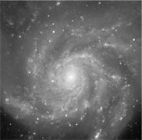 What type of galaxy is shown in the figure below?   A)  a giant elliptical B)  an ordinary spiral galaxy C)  an irregular galaxy D)  a barred spiral E)  a dwarf elliptical
