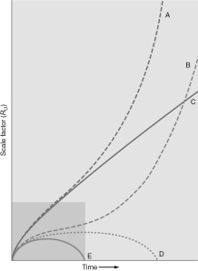  The figure below shows five graphs of the scale factor of the universe as a function of time.Which of these graphs would occur for a universe with   \Omega  <sub>m</sub> =1 and   \Omega  <sub> \bigwedge </sub>  = 0?   A)  A B)  B C)  C D)  D E)  E 