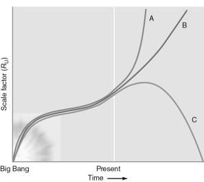 Which of the curves in the figure shown below would best describe the scenario of a Big Crunch for the universe?   A)  A B)  B C)  C D)  all three of them E)  none of them