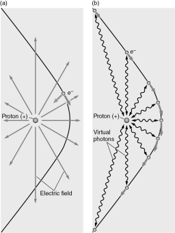 The left panel of the figure below illustrates the classical view of the electric force, while the right panel illustrates the QED view.Explain the fundamental differences between these two views of the electromagnetic force.  