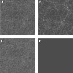 The figure below shows snapshots taken from the Bolshoi simulation of the formation of the large-scale structure in the universe.Which one of these images shows the current structure of the universe?   A)  A B)  B C)  C D)  D E)  All of these occur at the same redshift, just in different regions of the universe.