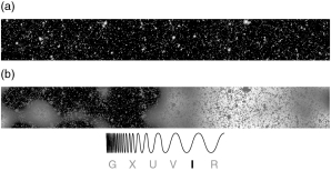 Panel (b)  of the figure below shows the enhanced infrared glow obtained after nearby stars and galaxies are subtracted from a standard Spitzer Space Telescope exposure.Scientists ascribe this faint signature to   A)  the CMB. B)  the first stars and galaxies formed. C)  GRBs and quasars. D)  supernovae. E)  our Sun.