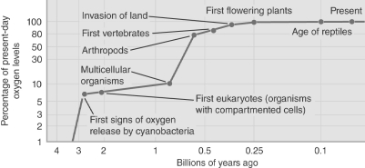 In order to survive, humans require a minimum of one-third of the oxygen content at sea level.Using the figure below, what was the most recent point in Earth's history at which a human could (barely)  survive unaided on the surface?   A)  250 million years ago B)  600 million years ago C)  1 billion years ago D)  3 billion years ago E)  10 billion years ago.