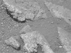 The figure below is a photograph of the surface of Mars.In this image, we see rounded bits of gravel, which are evidence for   A)  tectonic activity. B)  intelligent life-forms having ground down the rocks. C)  bacterial life having once lived in the surface of the gravel particles. D)  liquid having flowed on the surface in the past. E)  intense winds that could only occur in a thicker atmosphere.