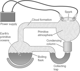 Describe the experiment depicted in the figure shown below.What was the goal of the experiment? Was the experiment a success?  