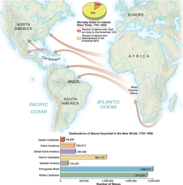   -How was the slave population in the lower South different from that of other regions in the American colonies? A)  Slaves mostly harvested tobacco while working in gang systems. B)  Higher mortality rates for slaves occurred because they lacked immunity to malaria. C)  African slaves outnumbered the white population in this region. D)  More slaves worked in seaports than on plantations.
