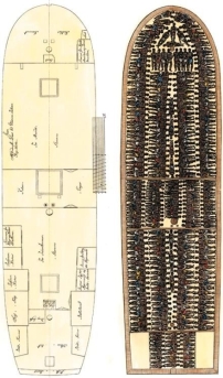   -Which two cash crops introduced in the lower South before 1750 led to a higher population of slaves in that region? A)  cotton and tobacco B)  rice and indigo C)  corn and flax D)  sugar cane and wheat