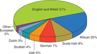   -What conclusion can be made about the ethnic composition of the British North American colonies during the eighteenth century? A)  Immigrants from other parts of the British Empire besides England and Wales made up the majority of settlers in these colonies. B)  Over 20 percent of settlers in these colonies came from continental Europe. C)  Non-European and non-African immigrants to these colonies comprised a quarter of the population. D)  One-fifth of the immigrants in these colonies were of African descent.