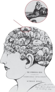   - The Symbolical Head  was an image associated with the popular topic of on the Lyceum lecture circuit. A)  phrenology B)  racism C)  psychology D)  the secular utopian movement