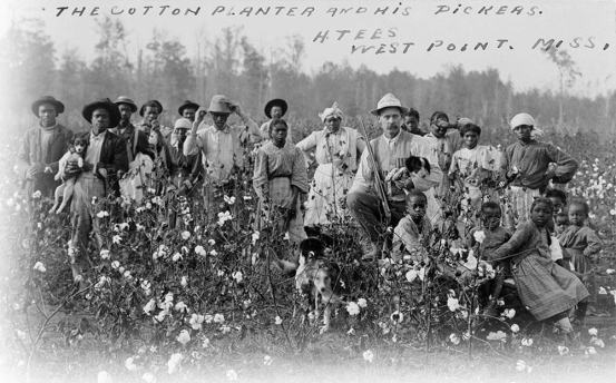 <strong> What does this photograph labeled The Cotton Planter And His Pickers, which shows a well-dressed landowner holding a rifle in Mississippi and black sharecroppers on his farm, demonstrate about the relationship between these two groups?</strong> A) Landlords and their sharecroppers had a benevolent association where each helped out the other. B) Sharecroppers lived a comfortable lifestyle where they were free from direct white supervision. C) Sharecroppers lived under the control of landlords, thus reflecting a disparity in power. D) Sharecropping was limited exclusively to African Americans.