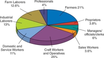   -What was the likely relationship between Progressive values and the occupations of most Americans, as seen in the pie chart? A)  The middle-class values of Progressives may not have reflected those of a largely working- class America. B)  The mainstream values of Progressives may not have reflected those of a largely immigrant population. C)  The elitist values of Progressives may not have reflected those of the large portion of Americans who had to work for a living. D)  The idealistic values of Progressives may not have reflected those of workers striving to make more money.