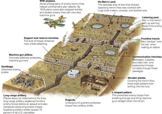   -What does this three-dimensional image of a trench imply about warfare during World War I? A)  Most of the daytime combat took place in No-Man's Land rather than in the trenches. B)  Trenches were generally sanitary and free of rats and lice. C)  Soldiers were able to advance in quick offensive paces that resulted in large territorial gains. D)  Trenches were intricate defense systems that both protected soldiers and added to their misery.