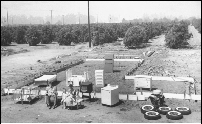     -These two 1955 photographs of a suburban middle-class family called  What They Have  vs.  What They Own  featured in Life magazine demonstrate that American families . A)  moved to suburbs in great numbers B)  relied heavily on credit to maintain affluent lifestyles C)  were made up of a white-collar working father and a stay-at-home mother D)  benefitted greatly from New Deal and Fair Deal programs