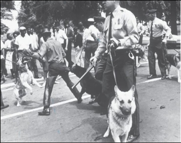 <strong> Why did civil rights activists in Birmingham approve the media's use of such violent pictures taken by Life photojournalist Charles Moore that depicted the mistreatment of women and young people during the Birmingham campaign of April 1963?</strong> A) They wanted Northerners in particular to be outraged at the display of police brutality. B) They were trying to persuade President Kennedy to send in federal troops for their protection. C) They sought to condemn the Ku Klux Klan for participating in these violent actions. D) They wanted to convince the public that they had no choice but to resort to violence in order to achieve desegregation.