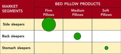   Figure 9-2 -The table in Figure 9-2 above is known as a A)  needs table. B)  cross-tabulation. C)  market-product grid. D)  growth-share matrix. E)  product differentiation table.