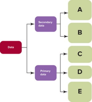   Figure 8-2 -Figure 8-2 above shows that primary data may be divided into three related parts. If C represents data obtained by watching how people actually behave using mechanical, personal, or neuromarketing methods, which type of data is C? A)  questionnaire data B)  mined data C)  internal secondary data D)  external secondary data E)  observational data