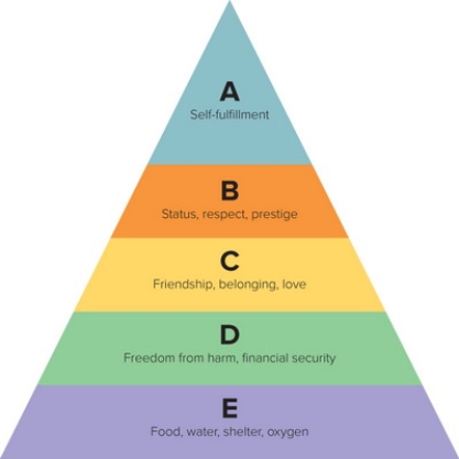   Figure 5-6 -According to Figure 5-6 above, C defines what level in the Maslow hierarchy of needs? A)  physiological B)  personal C)  social D)  safety E)  self-actualization