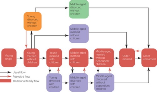   Figure 5-7 -Figure 5-7 above illustrates the traditional progression as well as contemporary variations of A)  the family scale. B)  the family life cycle. C)  the family continuum. D)  household socialization. E)  household patterning.