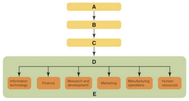   Figure 2-1 -In Figure 2-1 above, D represents the ________ of an organization that is comprised of individual departments. A)  strategic business unit level B)  board of directors C)  corporate level D)  functional level E)  CMO