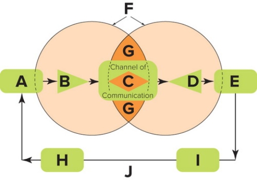   Figure 18-1 -Figure 18-1 above depicts the communication process, which consists of 10 key elements (Boxes A through J) . The position labeled J is referred to as A)  decoding. B)  the message. C)  the fields of experience. D)  noise. E)  the feedback loop.