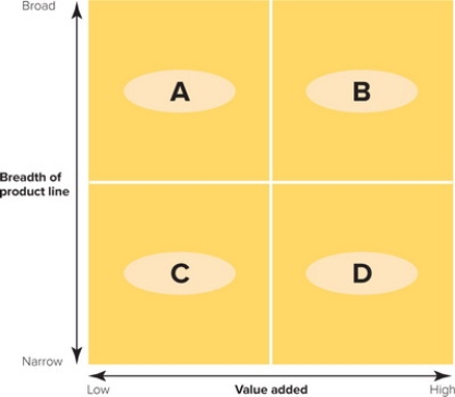   Figure 16-8 -Which of these retailers would best fit in quadrant D shown in the retail positioning matrix, Figure 16-8 above? A)  Walmart B)  Dillard's department store C)  7-Eleven convenience store D)  DSW shoe store E)  Tiffany & Co.