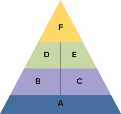   Figure 11-6 -Figure 11-6 above shows the sequential process of building brand equity. F represents the fourth and last step, which is to A)  elicit the proper consumer responses to a brand's identity and meaning. B)  develop positive brand awareness. C)  reward loyal customer behavior. D)  establish a brand's meaning in the minds of consumers. E)  create a consumer-brand connection.