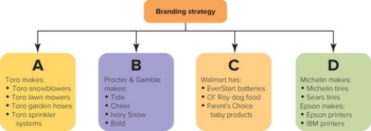  Figure 11-7 -Companies can employ several different branding strategies. In Figure 11-7 above, B represents a ________ strategy. A)  retailer branding B)  multiproduct branding C)  multibranding D)  private branding E)  mixed branding