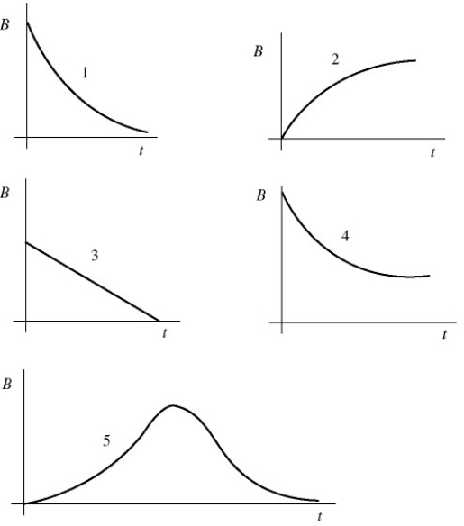A light bulb is connected in the circuit shown in the figure with the switch S open and the capacitor uncharged. The battery has no appreciable internal resistance. Which one of the following graphs best describes the brightness B of the bulb as a function of time t after closing the switch?     A)  1 B)  2 C)  3 D)  4 E)  5