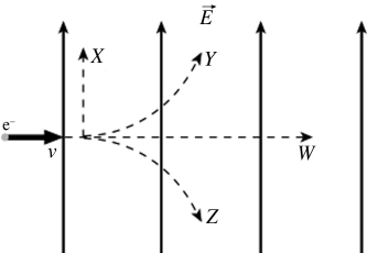 An electron is initially moving to the right when it enters a uniform electric field directed upwards. Which trajectory shown below will the electron follow?   A)  trajectory W B)  trajectory X C)  trajectory Y D)  trajectory Z