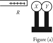 X and Y are two uncharged metal spheres on insulating stands, and are in contact with each other. A positively charged rod R is brought close to X as shown in Figure (a) .   Sphere Y is now moved away from X, as in Figure (b) .   What are the final charge states of X and Y? A)  Both X and Y are neutral. B)  X is positive and Y is neutral. C)  X is neutral and Y is positive. D)  X is negative and Y is positive. E)  Both X and Y are negative.