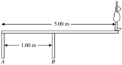 An 82.0 kg-diver stands at the edge of a light 5.00-m diving board, which is supported by two narrow pillars 1.60 m apart, as shown in the figure. Find the magnitude and direction of the force exerted on the diving board (a) by pillar A. (b) by pillar B.  