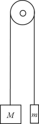 Two unequal masses M and m (M > m)  are connected by a light cord passing over a pulley of negligible mass, as shown in the figure. When released, the system accelerates. Friction is negligible. Which figure below gives the correct free-body force diagrams for the two masses in the moving system?   A)    B)    C)    D)   