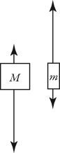 Two unequal masses M and m (M > m)  are connected by a light cord passing over a pulley of negligible mass, as shown in the figure. When released, the system accelerates. Friction is negligible. Which figure below gives the correct free-body force diagrams for the two masses in the moving system?   A)    B)    C)    D)   