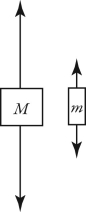 Two unequal masses M and m (M > m)  are connected by a light cord passing over a pulley of negligible mass, as shown in the figure. When released, the system accelerates. Friction is negligible. Which figure below gives the correct free-body force diagrams for the two masses in the moving system?   A)    B)    C)    D)   