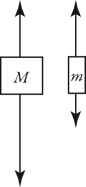 Two unequal masses M and m (M > m)  are connected by a light cord passing over a pulley of negligible mass, as shown in the figure. When released, the system accelerates. Friction is negligible. Which figure below gives the correct free-body force diagrams for the two masses in the moving system?   A)    B)    C)    D)   