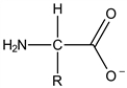 What is the most prevalent form of the amino acid glycine (R = H) in an aqueous environment when mixed with an excess of strong acid. A) B) C) D) E)