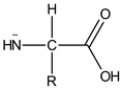 What is the most prevalent form of the amino acid glycine (R = H) in an aqueous environment when mixed with an excess of strong acid. A) B) C) D) E)