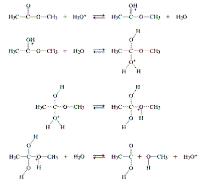 Circle the catalyst in the following mechanism.  