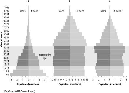 Refer to the figure below, and then answer the question that follows.   -Which graph, A, B, or C, represents a population likely to exhibit the greatest population rate increase over the next few decades?