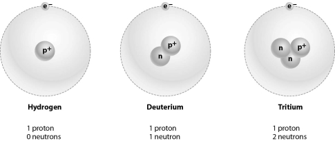 <strong>Refer to the figure below, and then answer the question that follows.   Hydrogen, deuterium, and tritium are considered the same element because:</strong> A) their mass is about the same. B) they can form ions easily. C) they have the same number of protons. <div style=padding-top: 35px> 