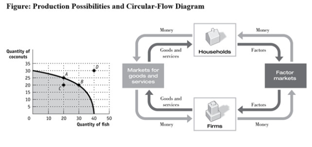 Use the following to answer questions: \\   -(Figure: Production Possibilities and Circular-Flow Diagram)  Use Figure: Production Possibilities and Circular-Flow Diagram. Assume the two figures represent the same economy. Suppose that in the circular-flow diagram there is a significant decrease in the amount of labor flowing to the firms that produce coconuts. If all other variables remain unchanged, this adjustment in the economy would be BEST represented in the production possibilities figure by a move from point A toward: A)  point A (no movement) . B)  point B (a decrease in coconut production and an increase in fish production) . C)  point C (a decrease in coconut production) . D)  point D (an outward shift of the entire curve) .