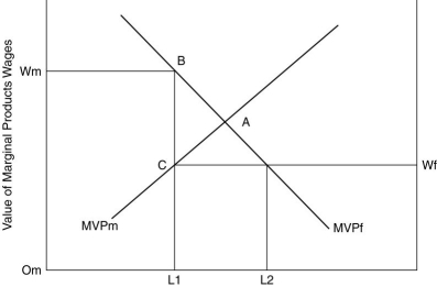   -Refer to above figure. If manufacturing labor were to increase to OmL2, how much value would the economy as a whole gain?